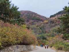 -北京西山国家森林公园