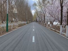 -长白岛森林公园