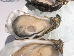 -Oyster Talks 四度蚝法餐厅