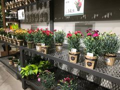 -鹿岛会员店 (龙湖三千集天街店)