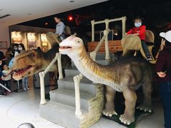 -中国地质大学逸夫博物馆