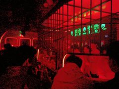 -Orangutan Bunker猩猩地堡酒吧(兰桂坊店)
