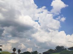 -侯臣咖啡文化村