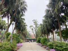 -昂坪360缆车