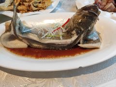 -惠丰堂饭庄·烤鸭·京味菜(西北旺·唐家岭店)