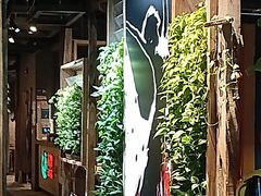 -雀舞云南菜(天津天河城购物中心店)