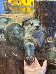 点击看大图 -Zoolung Zoolung动物主题公园(海信广场店)