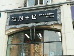 -猫十亿·布偶金渐层·曼基康矮脚猫舍(青年路店)