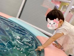 点击看大图 -哈尼兔家庭乐园(开发区万达店)