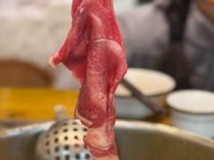 -乳仔牛牦牛汤锅 烤羊排(松潘古城店)