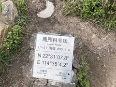 -杨梅坑