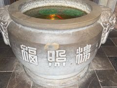 -福照楼汽锅鸡·云南菜(火车站锦江店)