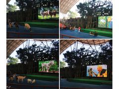 -杭州野生动物世界