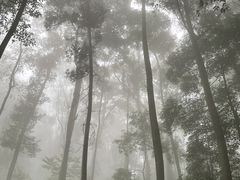 -凤栖山