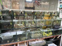 -来之顺海鲜菜馆·青岛菜(栈桥店)