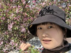 -新疆红山干果市场