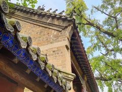 -浮来山风景区