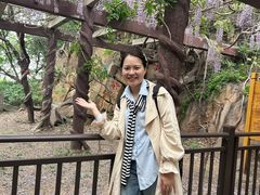 -龙口南山旅游景区