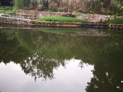 -成都市活水公园