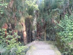 -峨眉山风景名胜区