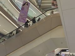 -沈阳铁西万象汇