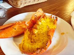 -The Cheebat 锌吧·Bistro(体育西店)