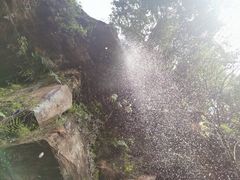 -蜀南竹海景区
