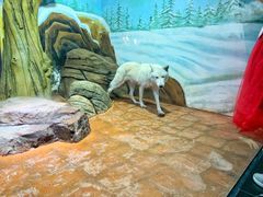 -海合安武汉极地海洋公园