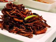 -逸林轩中餐厅(中信泰富朱家角锦江酒店)