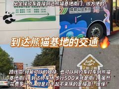 -成都大熊猫繁育研究基地