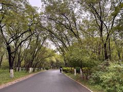 -千佛山风景名胜区