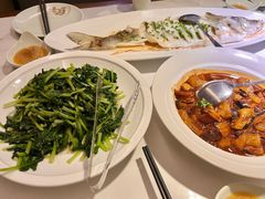 -船歌·鱼水饺青岛菜(石老人店)