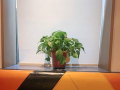 -菲滋意式餐厅(临海银泰店)