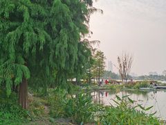 -澹台湖公园