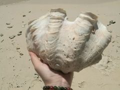 -东姑阿都拉曼海洋公园