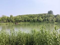 -昆山城市生态森林公园