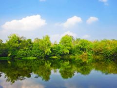 -溱湖国家湿地公园