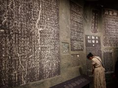 -广西壮族自治区博物馆