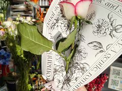 -FEI FEI FLOWER鲜花店·气球派对·宝宝宴布置(虹口德必运动Loft店)