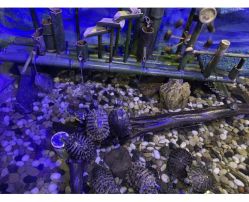 -酷嗒动物文化乐园(cutezoo西溪乐天城店)