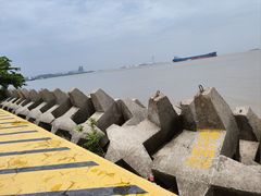 -上海滨江森林公园