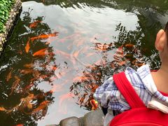 -唐风温泉