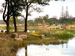 -上海植物园-4号门售票处