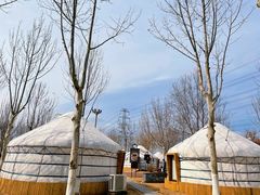 -九十九顶毡房(阜石路店)