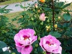 -人民公园(罗湖区)