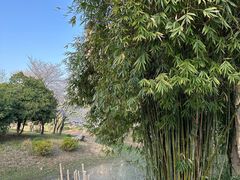 -堤角公园