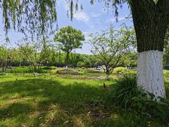 -双山岛