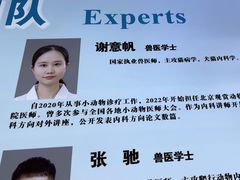 -北京观赏动物医院·24小时大型综合·猫专科·异宠专科
