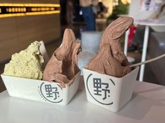 -野人牧坊Gelato(天津南开大悦城店)