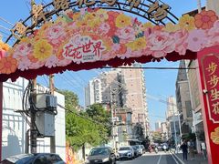 -溪岸路花鸟市场